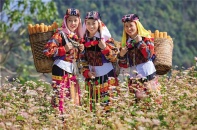 Đời sống đồng bào dân tộc thiểu số ở Hà Giang đổi thay nhờ du lịch   