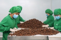 Xuất khẩu nông sản: Cơ hội trong thương chiến