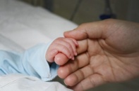 Giải pháp cấp bách với mức sinh giảm