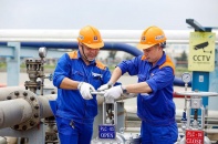 Lợi nhuận của Hóa dầu Petrolimex hụt hơi trước áp lực cạnh tranh