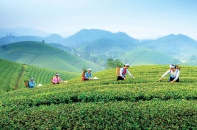 Thái Nguyên chuyển mình thành điểm đến du lịch MICE