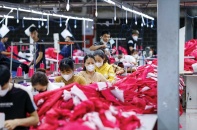 Doanh nghiệp Việt được gì từ các FTA?