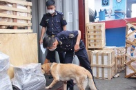 Kiểm soát chặt xuất nhập khẩu tiền chất, chặn sản xuất, buôn bán ma túy
