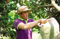 Xuất khẩu rau, quả sang Trung Quốc: Chọn chất lượng để đi đường dài  
