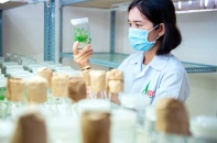 Chủ tịch Tập đoàn Vinaseed: Chuyển mình để dẫn đầu, không phải để tồn tại   