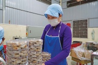Doanh nghiệp khởi nghiệp tìm điểm tựa từ Nghị quyết 68