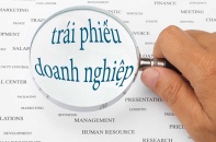 Siết tỷ lệ đòn bẩy khi phát hành trái phiếu doanh nghiệp: Giảm nguy cơ vỡ nợ, tăng động lực cơ cấu vốn
