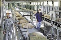 Không thể ngược chiều với tinh thần Nghị quyết 68   