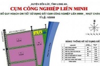 Vụ tranh chấp tại Dự án Cụm công nghiệp Nhựt Chánh 2: Vì sao chuyển điều tra?