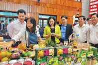 Tây Ninh tăng cường xúc tiến thương mại, kết nối tiêu thụ hàng hóa