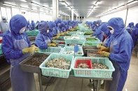 Nhà mua hàng toàn cầu trở lại Việt Nam   