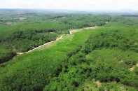 Loay hoay chuyển đổi diện tích cao su kém hiệu quả tại Gia Lai Loay hoay chuyển đổi diện tích cao su kém hiệu quả tại Gia Lai