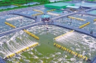 Cà Mau đột phá phát triển toàn diện trong kỷ nguyên mới