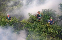 OCOP và du lịch nông thôn đẩy nhanh tiến trình xây dựng nông thôn mới