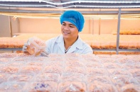 Trần Tài, nhà sáng lập, CEO Công ty TNHH Nấm sinh học Việt Nam Vinabiomush: Thạc sĩ trồng nấm thời 4.0