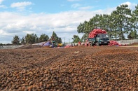 Xuất khẩu lập kỷ lục mới, doanh nghiệp Việt khẳng định sức bật