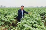 Doanh nhân Phạm Văn Tấn: Hành trình “gieo hạt” của một doanh nhân không ngại đất bùn   