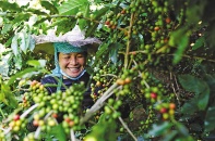 Hợp tác công - tư đưa đồng bào dân tộc tại Sơn La thoát nghèo