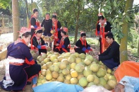 Nguồn vốn ưu đãi tiếp sức đồng bào khó khăn vươn lên thoát nghèo