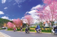 Thị trường du lịch sớm vào mùa Tết 2026