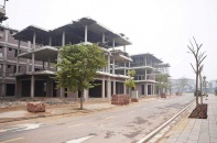 Bất động sản tỉnh lẻ “bung lụa”: Cơ hội hay FOMO?