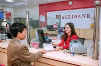 Bứt phá toàn diện hậu tái cơ cấu, Agribank dẫn dòng vốn lớn