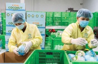 “Cuộc sàng lọc” xuất khẩu với doanh nghiệp nông, lâm, thủy sản