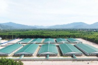 Gia Lai “thận trọng” trong phê duyệt dự án chăn nuôi mới