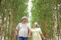 Làn sóng du khách tóc bạc: Việt Nam đang chậm một nhịp?