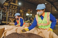 Doanh nghiệp xoay xở trước áp lực chi phí leo thang