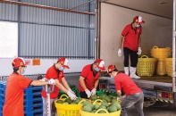 Chi phí leo thang, đầu ra chững lại: Nông nghiệp xoay xở trong thế khó