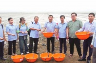 Tràm Chim phát triển kinh tế gắn với hình ảnh địa phương