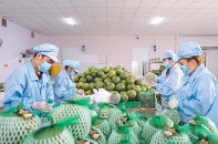 Doanh nghiệp chờ hệ thống vận hành thống nhất