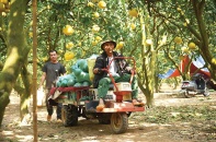 Đưa khởi nghiệp trở thành cơ hội mở cho mỗi người