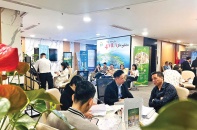 Nhà sang “duplex” bước vào thị trường đại chúng