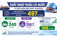 Diễn biến thương mại nửa đầu năm: Rút ngắn chặng đường chinh phục mốc 1.000 tỷ USD