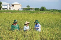 Doanh nghiệp Việt biến rủi ro khí hậu thành lợi thế cạnh tranh dài hạn