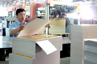Vietnam Equity Holding thành cổ đông lớn của Bao bì Biên Hòa