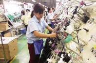 Hanel sắp IPO 19,1 triệu cổ phần tại HNX