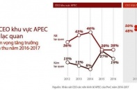Doanh nghiệp Việt lạc quan hơn mức trung bình APEC