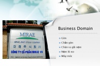 Mirae điều chỉnh phương án sử dụng vốn