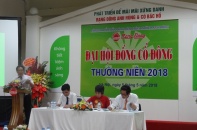 Bóng đèn Phích nước Rạng Đông dành 150 tỷ đồng cho các hoạt động đầu tư năm 2018