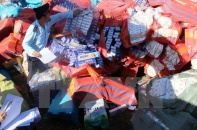 Hải quan xử lý hơn 1.200 vụ vi phạm trong tháng Tết