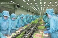 I.D.I bị xử lý vi phạm hành chính về thuế