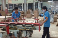 Lỗ gần hết vốn, Gỗ Trường Thành vẫn thành lập thêm công ty con