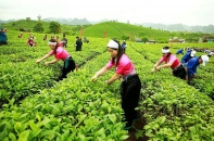 GTNFoods họp cổ đông bất thường để sửa điều lệ