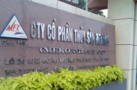 Thủy sản Mekong: Lợi nhuận quý IV/2019 chưa đến 1 tỷ đồng, tăng 75% so với cùng kỳ
