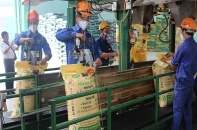 Phân bón Bình Điền hụt tất cả các chỉ tiêu kinh doanh 2019