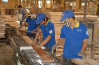 Gỗ Thuận An bổ sung thêm thông tin đã đăng trên Báo Đầu tư Online