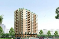 Vina 5 giảm hơn 55% lợi nhuận trong quý I/2020